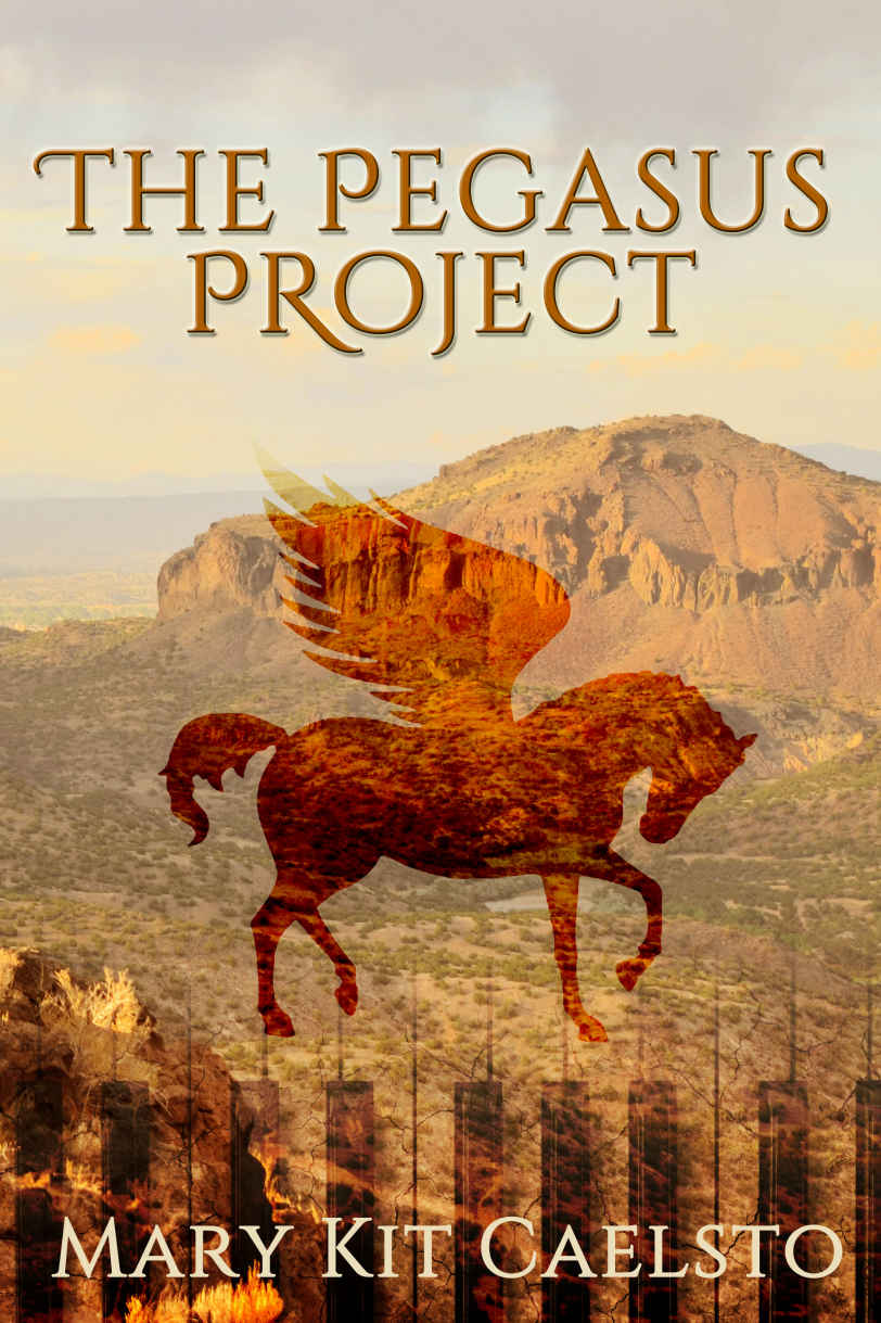 The Pegasus Project A Musimagium Story Mary Kit Caelsto Caelsto