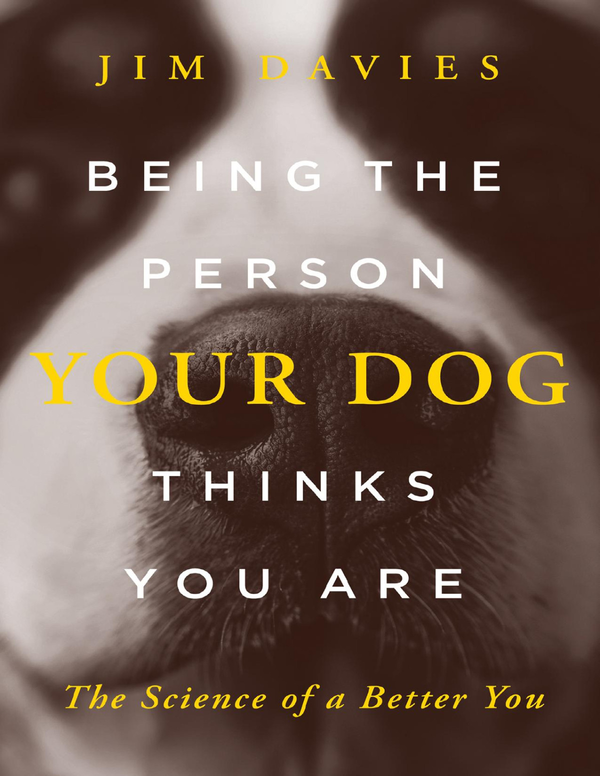 Being The Person Your Dog Thinks You Are Jim Davies Jim Davies
