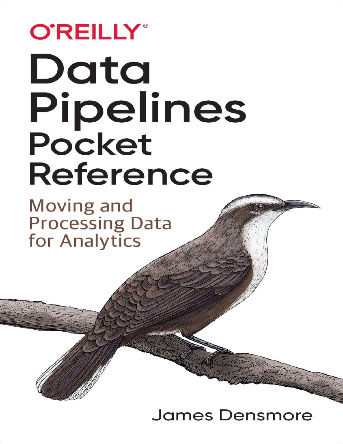 Data Pipelines Pocket Reference James Densmore James Densmore