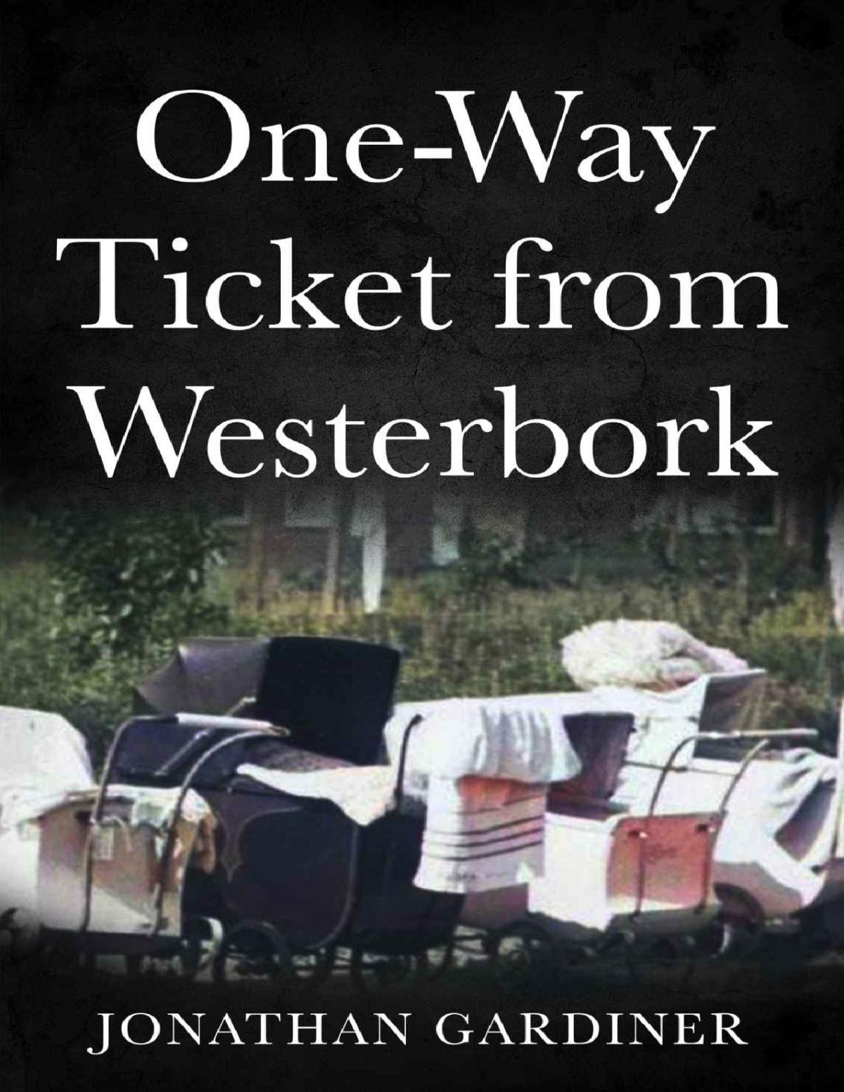Oneway Ticket From Westerbork Jonathan Gardiner Gardiner Jonathan