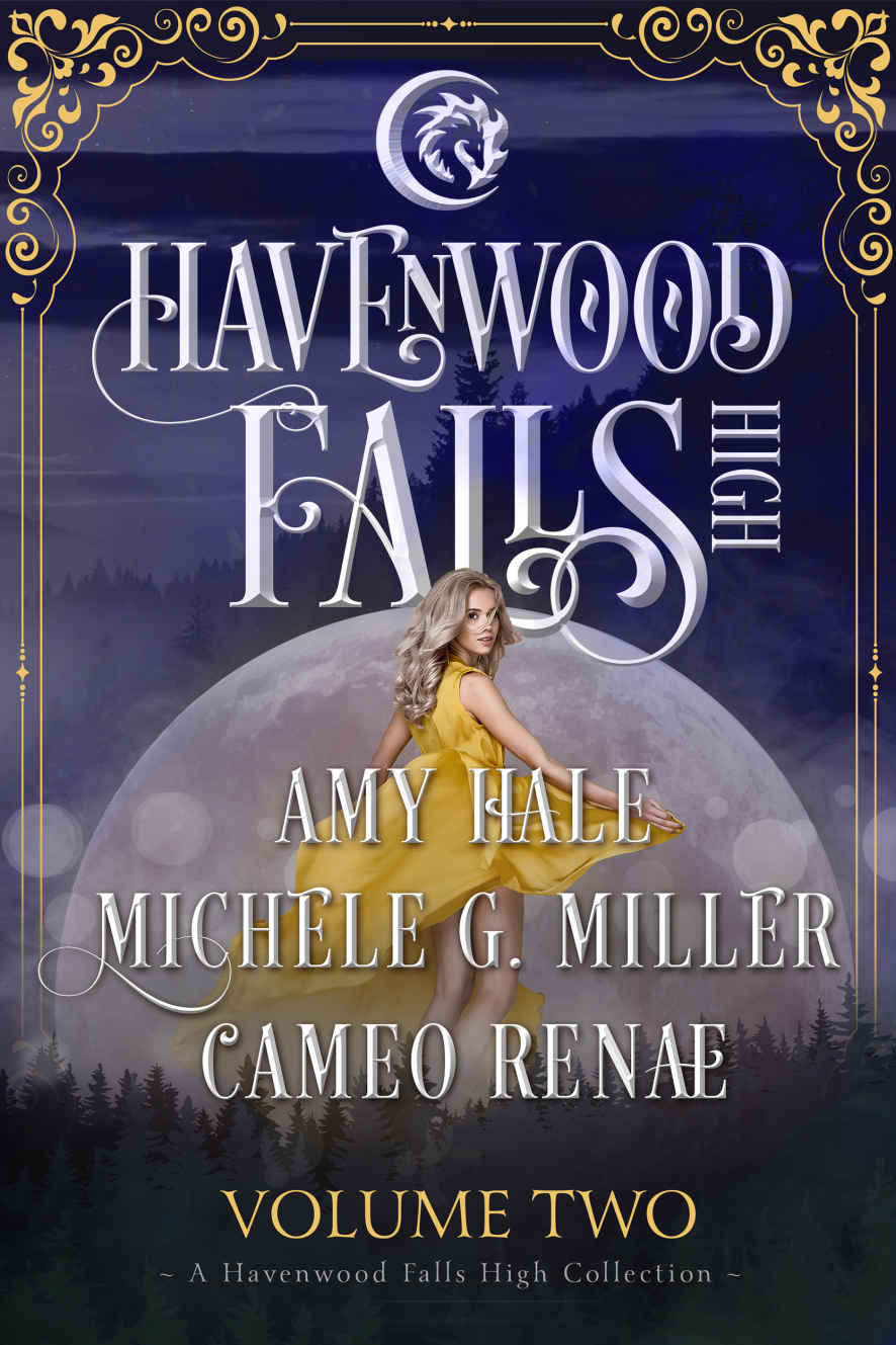Havenwood Falls High Volume Two Books 46 Cameo Renae Michele G Miller Amy Hale Renae