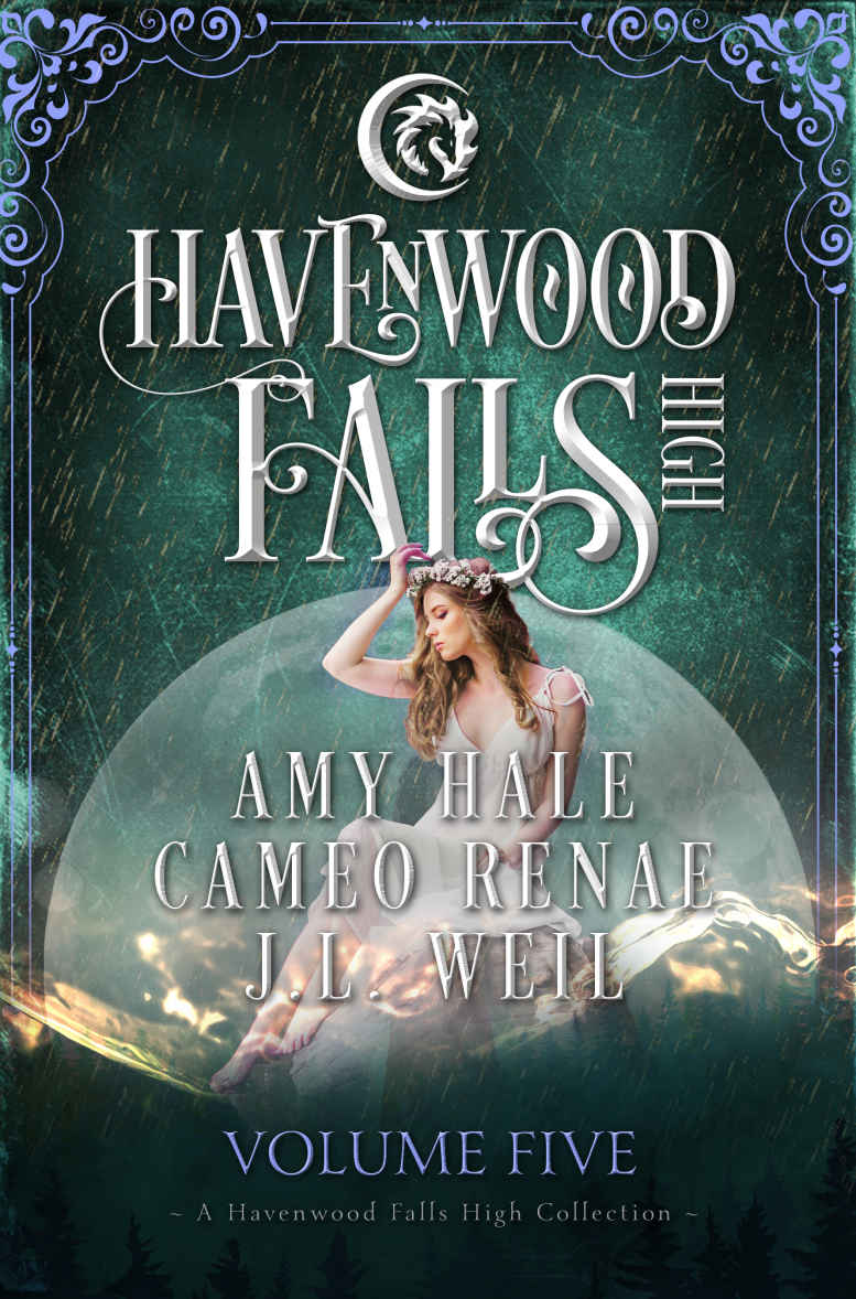 Havenwood Falls High Volume Five Books 1416 J L Weil Cameo Renae Amy Hale Weil