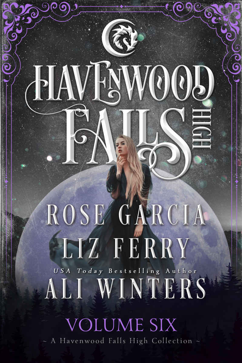 Havenwood Falls High Volume Six Books 1719 Ali Winters Rose Garcia Liz Ferry Winters
