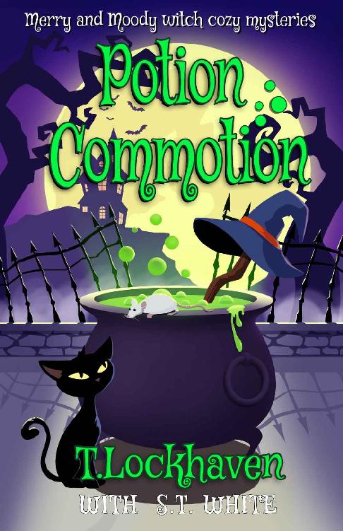 Potion Commotion T Lockhaven St White Lockhaven T