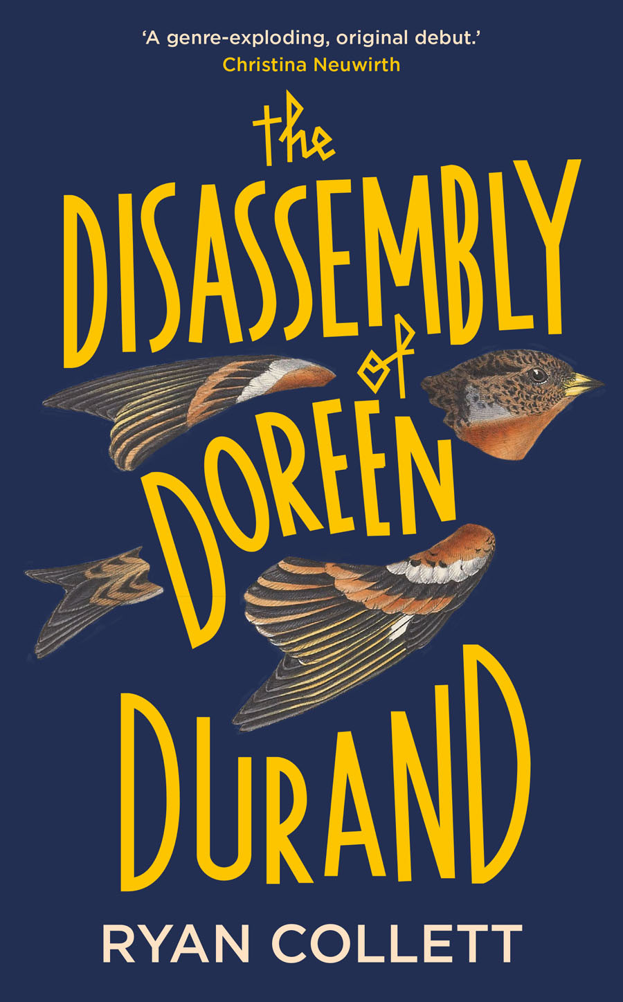 The Disassembly Of Doreen Durand Ryan Collett