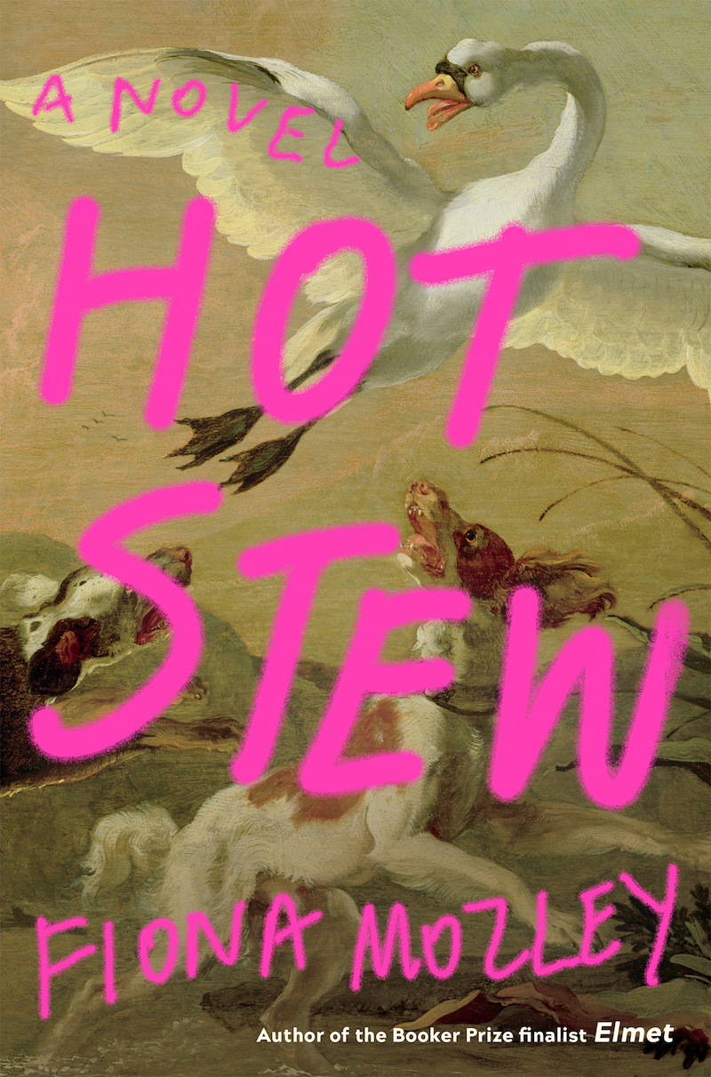 Hot Stew Fiona Mozley