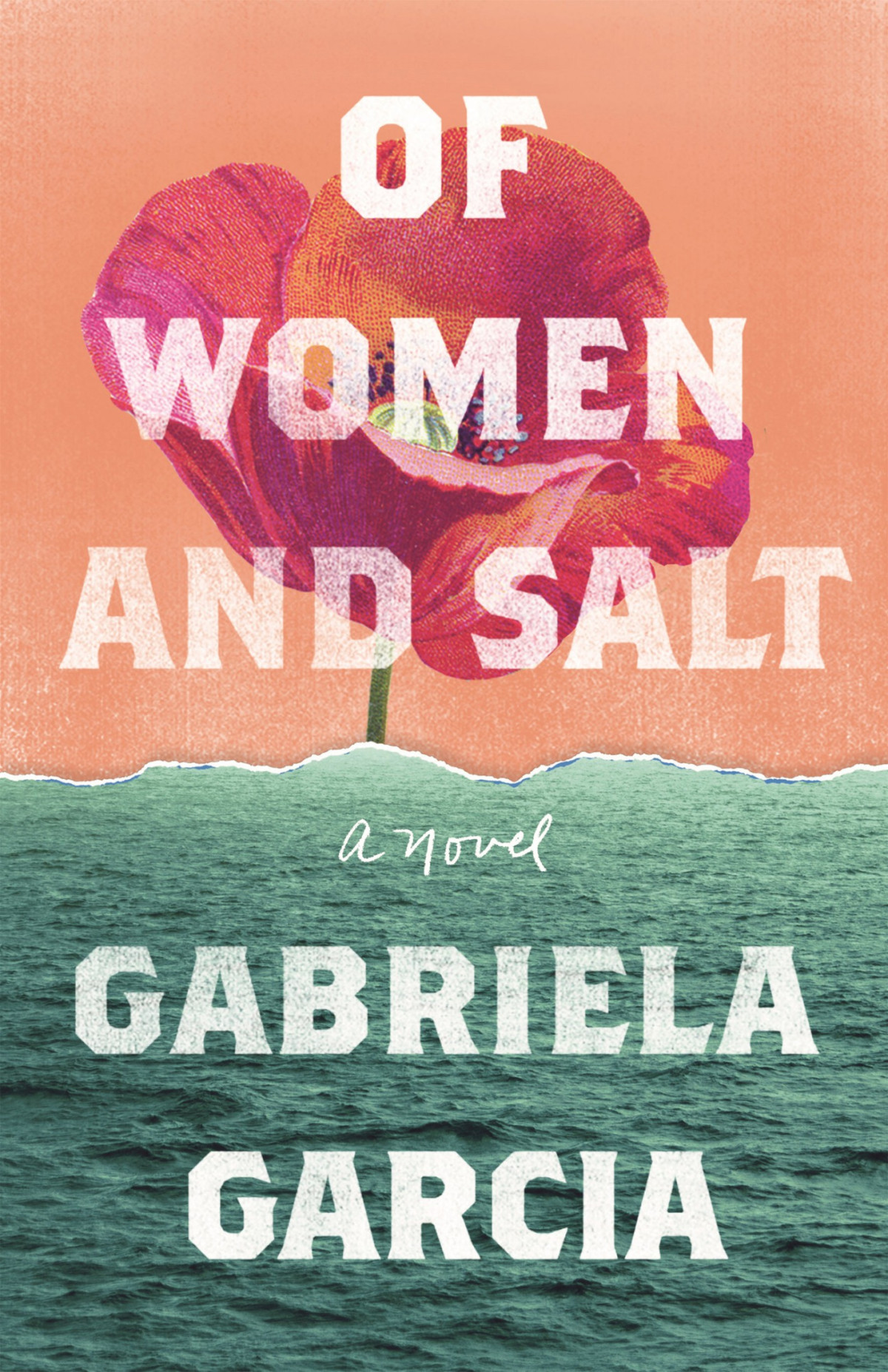 Of Women And Salt Gabriela Garcia