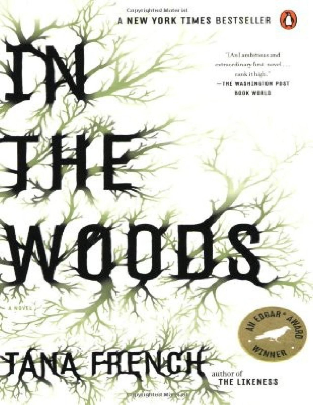 In The Woods Dublin Murder Squad 01 Tana French