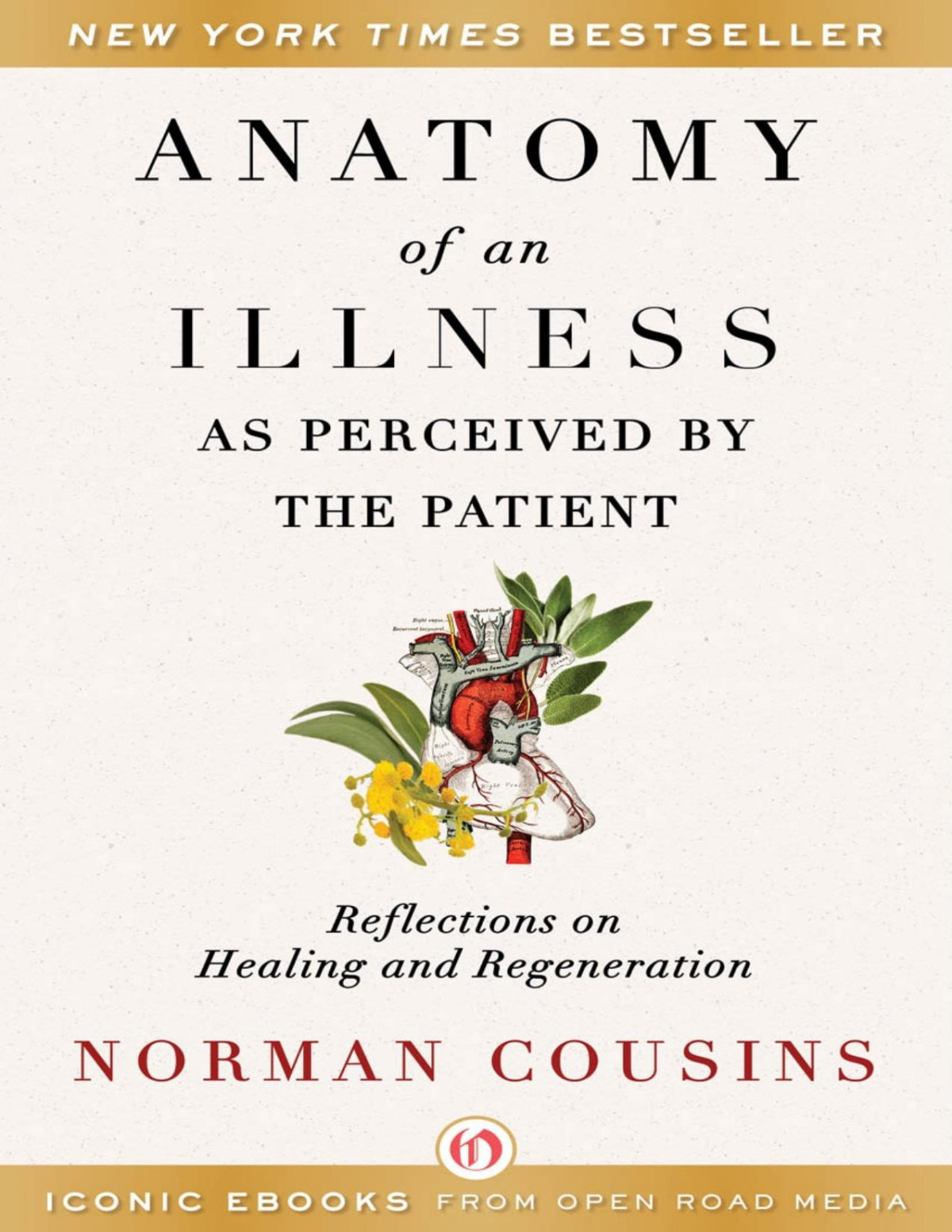 Anatomy Of An Illness As Perceived By The Patient Norman Cousins