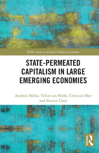 Statepermeated Capitalism In Large Emerging Economies Ripe Series In Global Political Economy 1st Edition Andreas Nlke