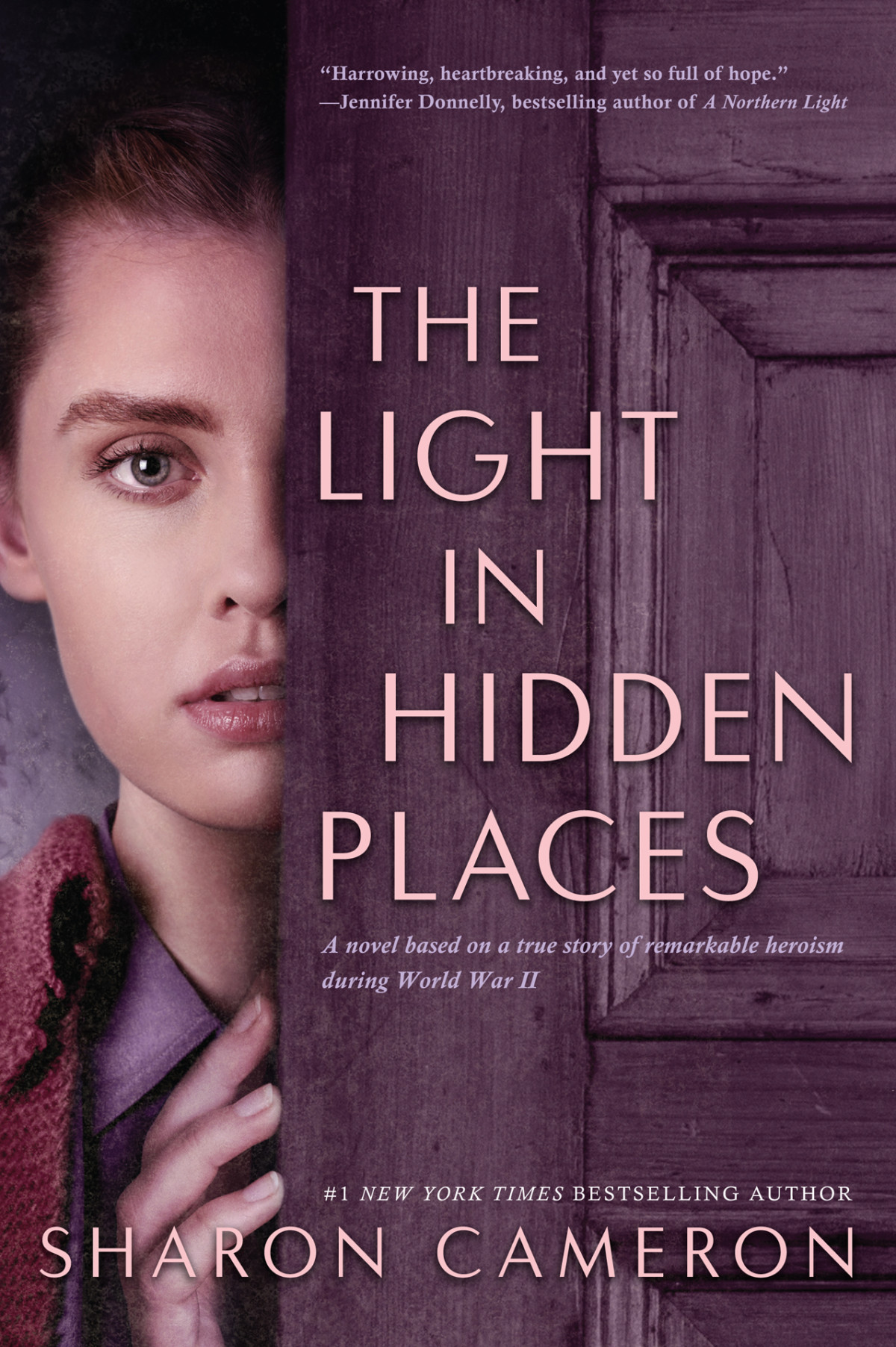 The Light In Hidden Places Sharon Cameron