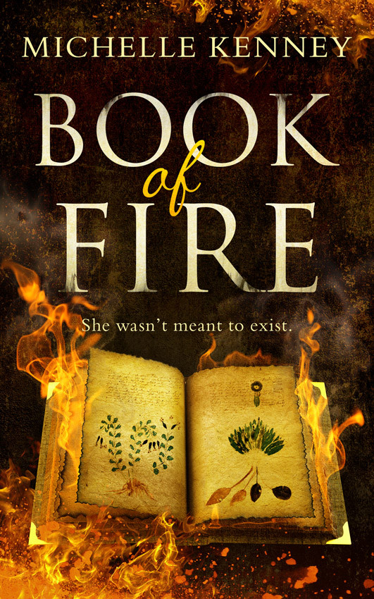 Book Of Fire Michelle Kenney Kenney Michelle