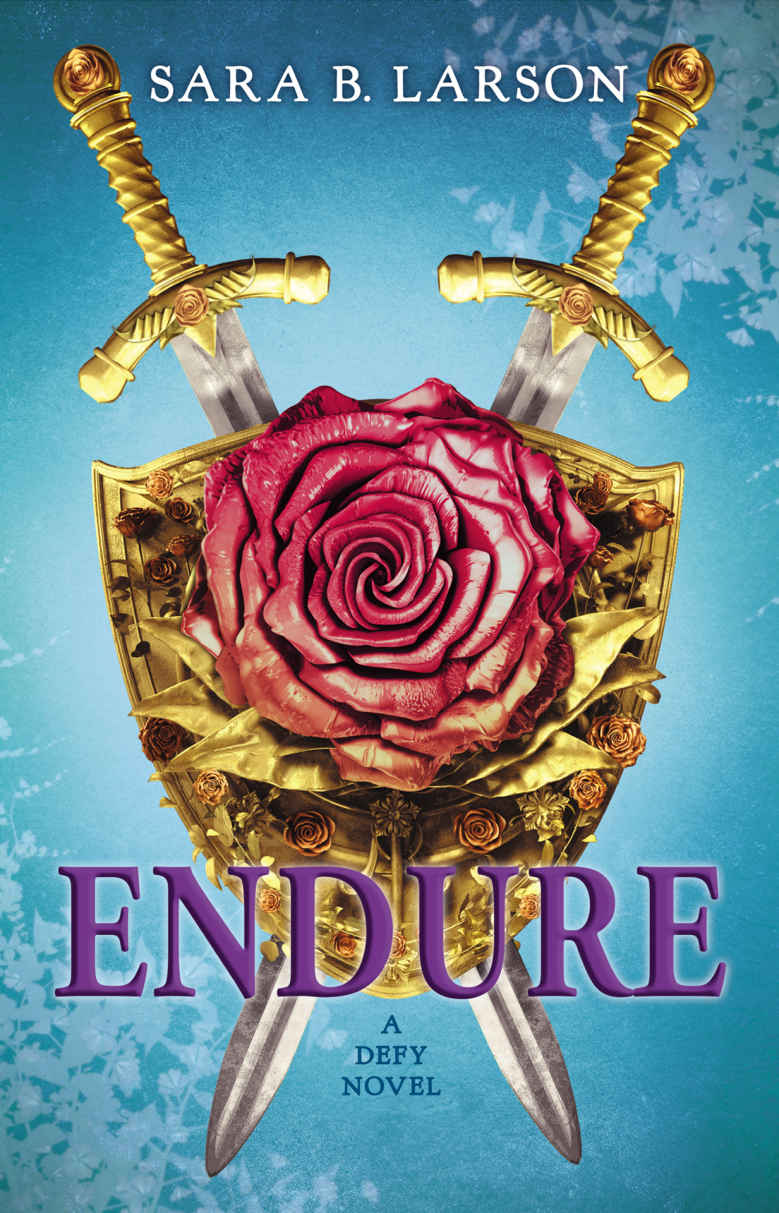 Endure Sara B Larson Larson Sara B