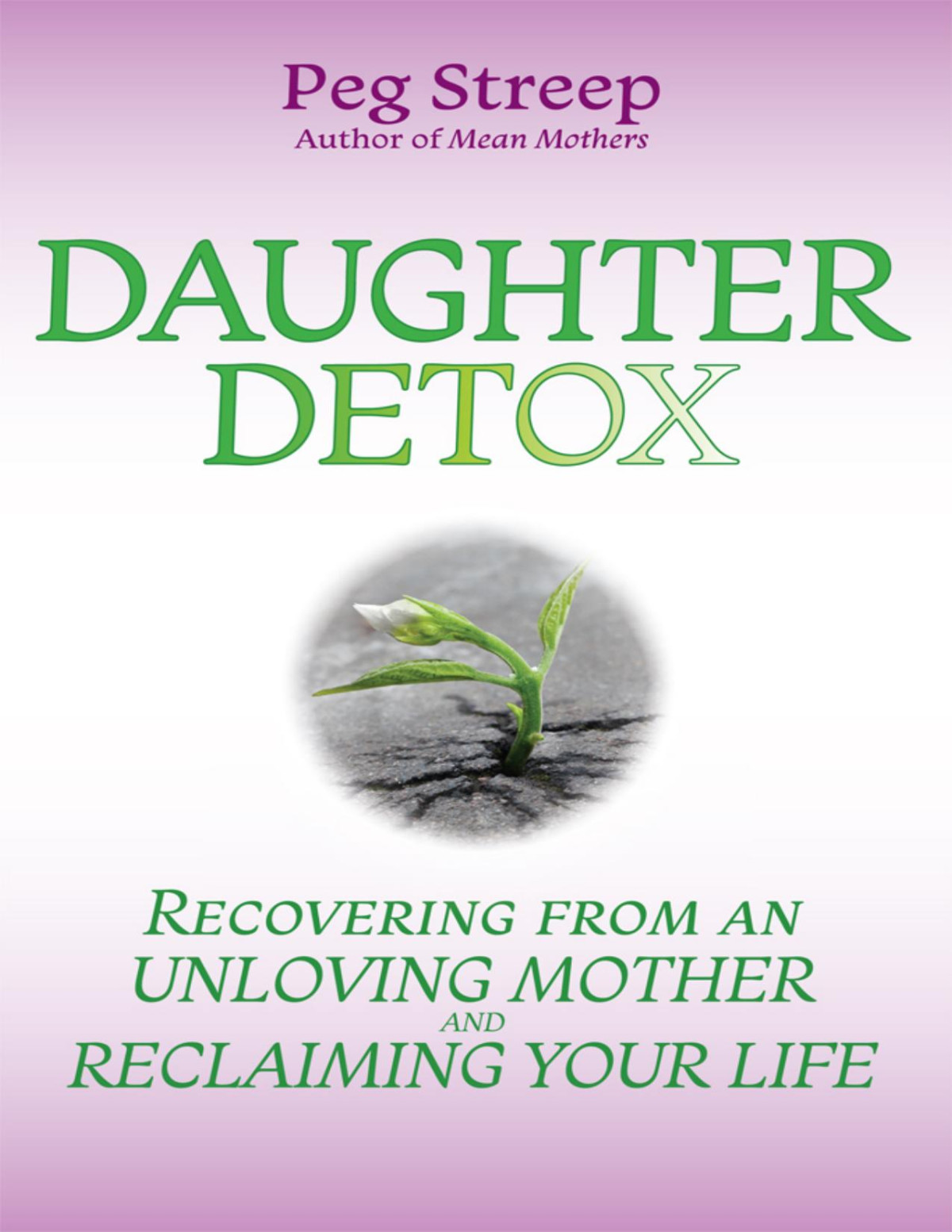 Daughter Detox Recovering From An Unloving Mother And Reclaiming Your Life Streep