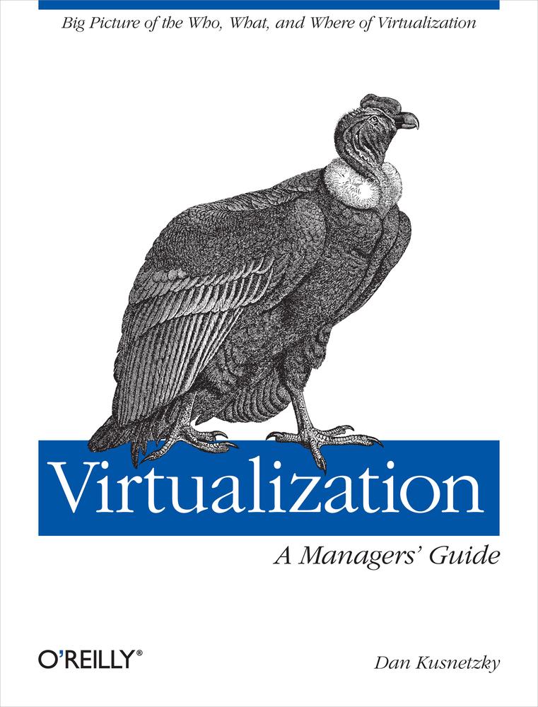 Virtualization A Managers Guide Dan Kusnetzky