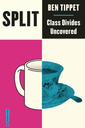 Split Class Divides Uncovered 1st Edition Ben Tippet Neda Tehrani