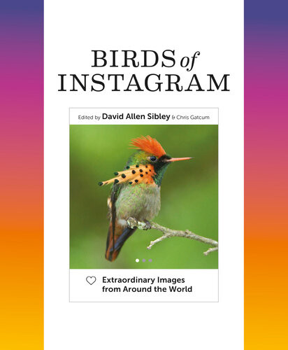 Birds Of Instagram Extraordinary Images From Around The World David Allen Sibley