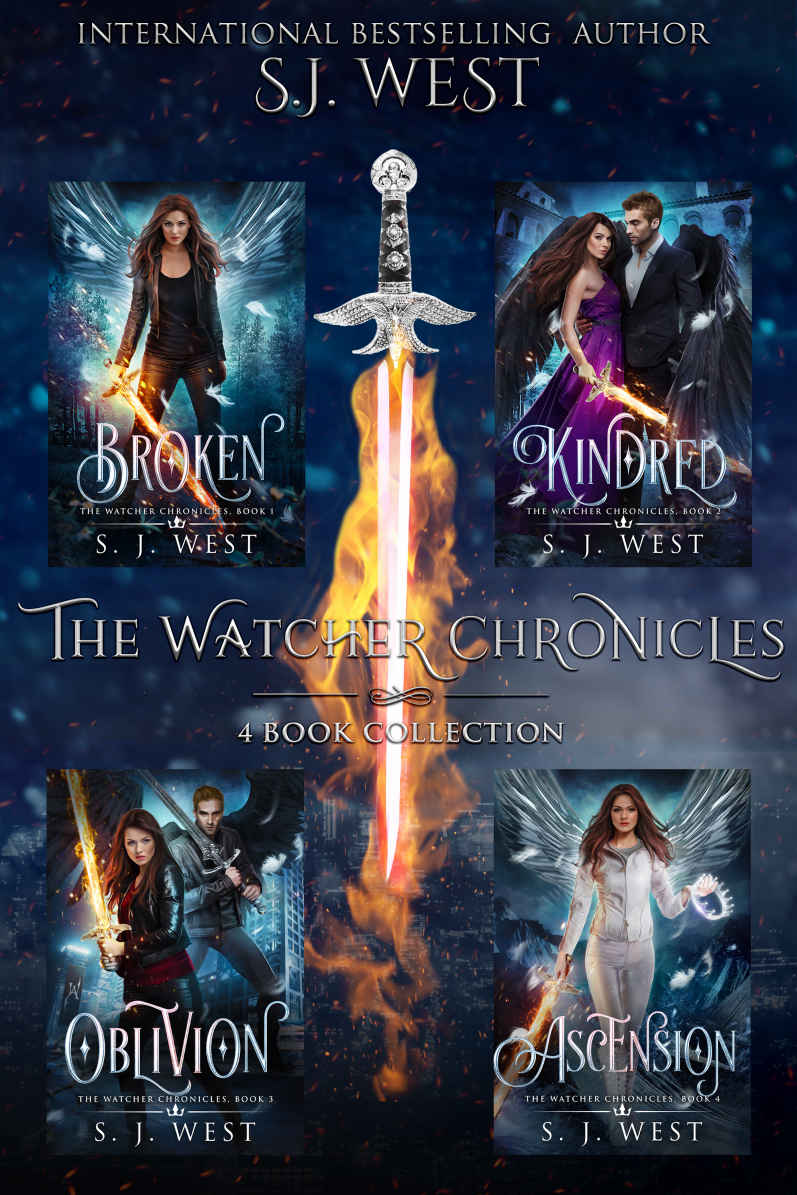 The Watcher Chronicles Boxed Set S J West West S J
