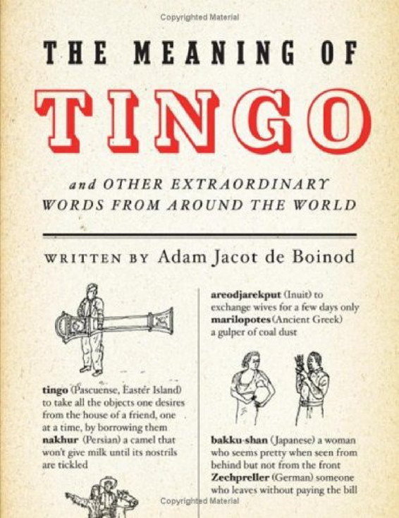 The Meaning Of Tingo And Other Extraordinary Words From Around The World De Boinod