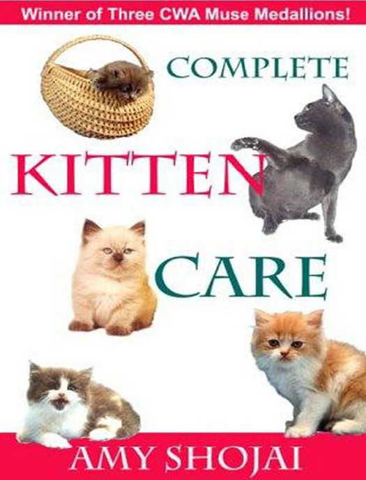 Complete Kitten Care Shojai Amy
