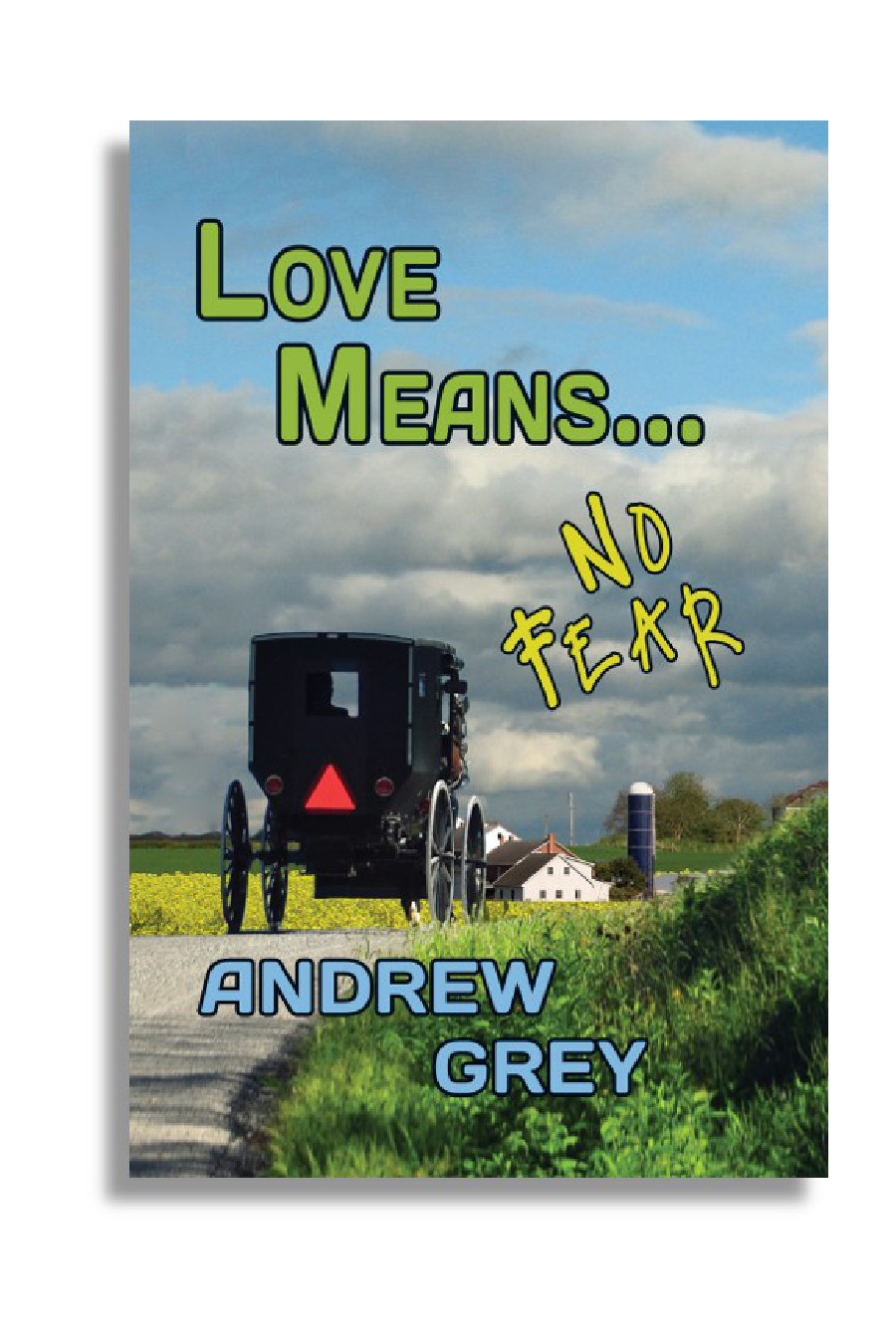 Love Means No Fear Andrew Grey