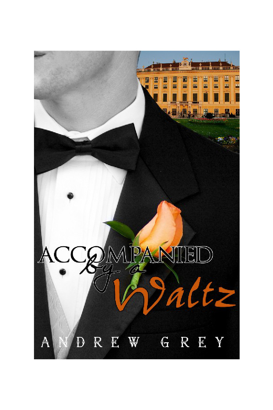 Accompanied By A Waltz Grey Andrew