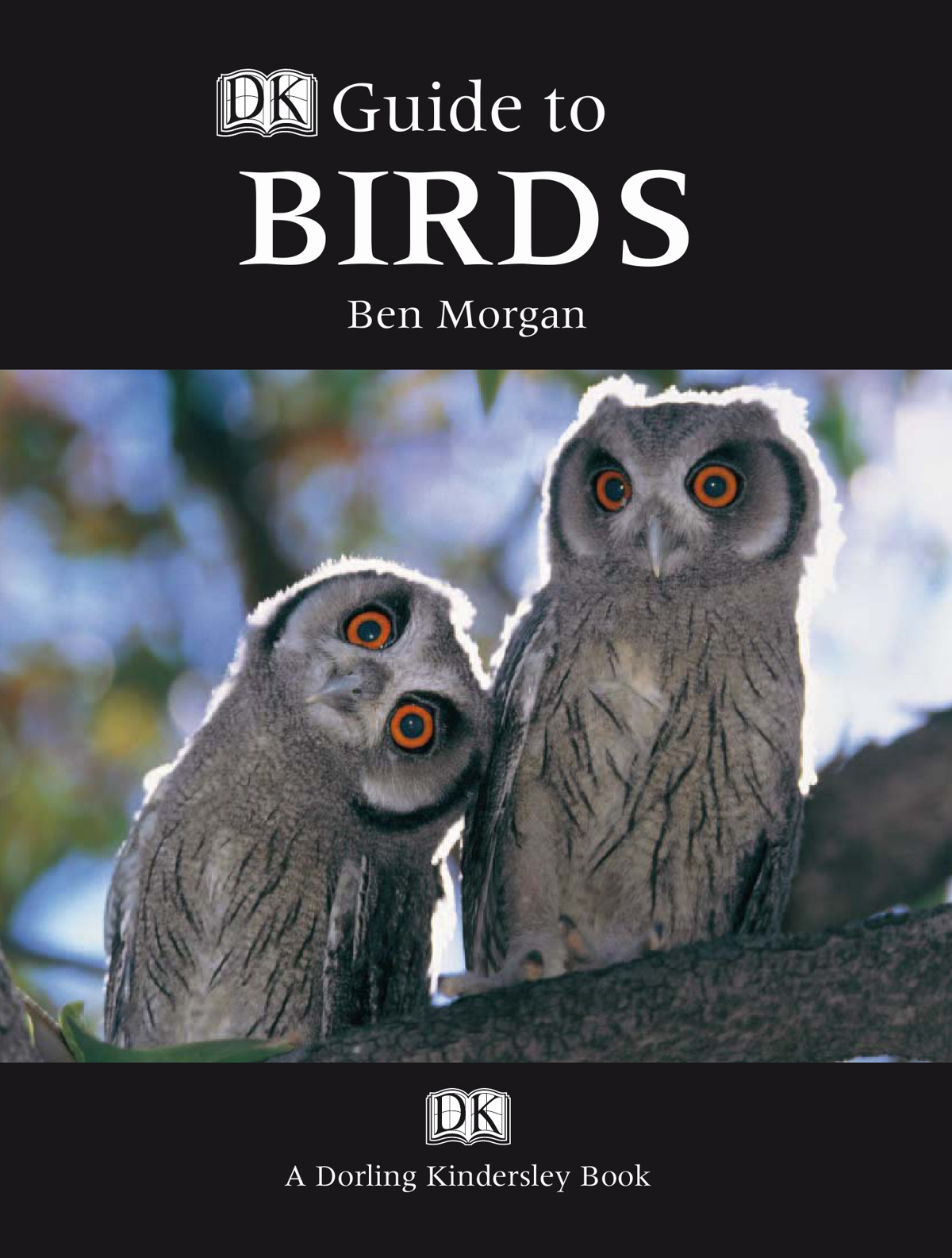 Birds Dorling Kindersley Guide To Morgan Ben