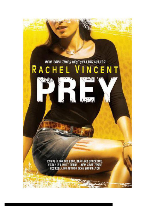 Prey Vincent Rachel