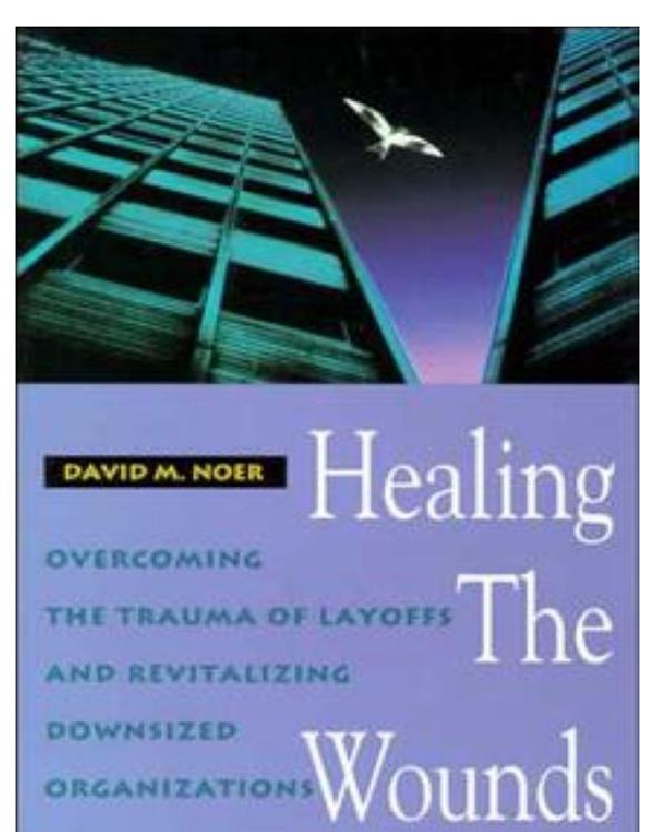 Healing The Wounds Noer David M