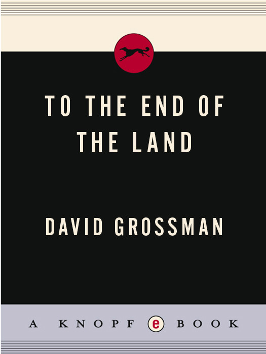 To The End Of The Land Grossman David