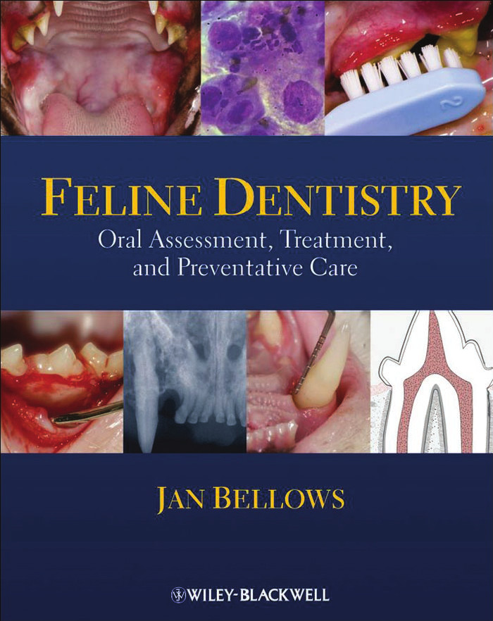 Feline Dentistry Oral Assessment Treatment And Preventative Care Bellows Jan