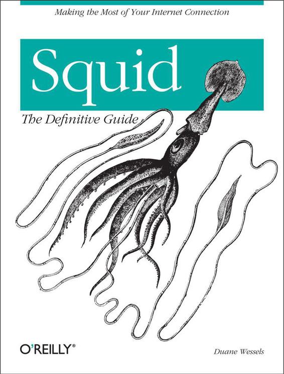 Squid The Definitive Guide Wessels Duane
