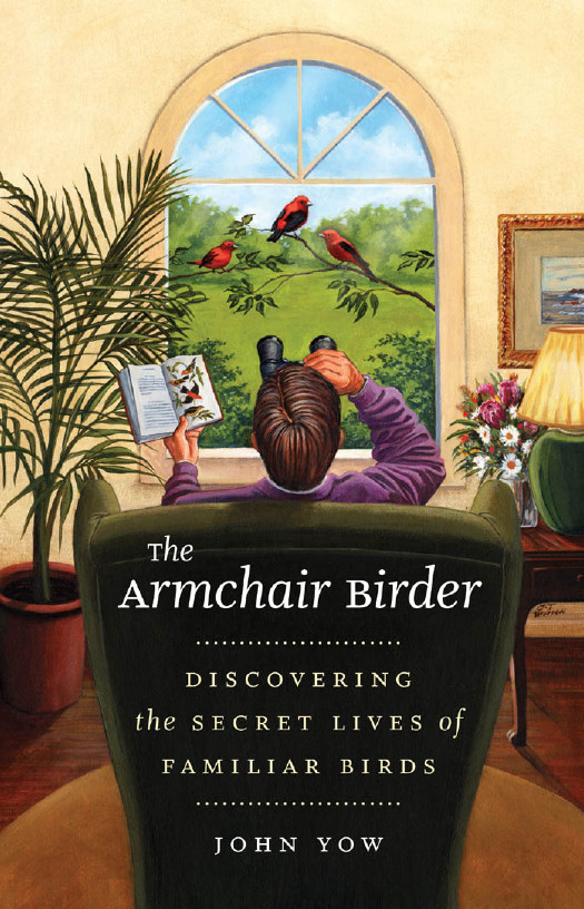 The Armchair Birder Discovering The Sec Yow John