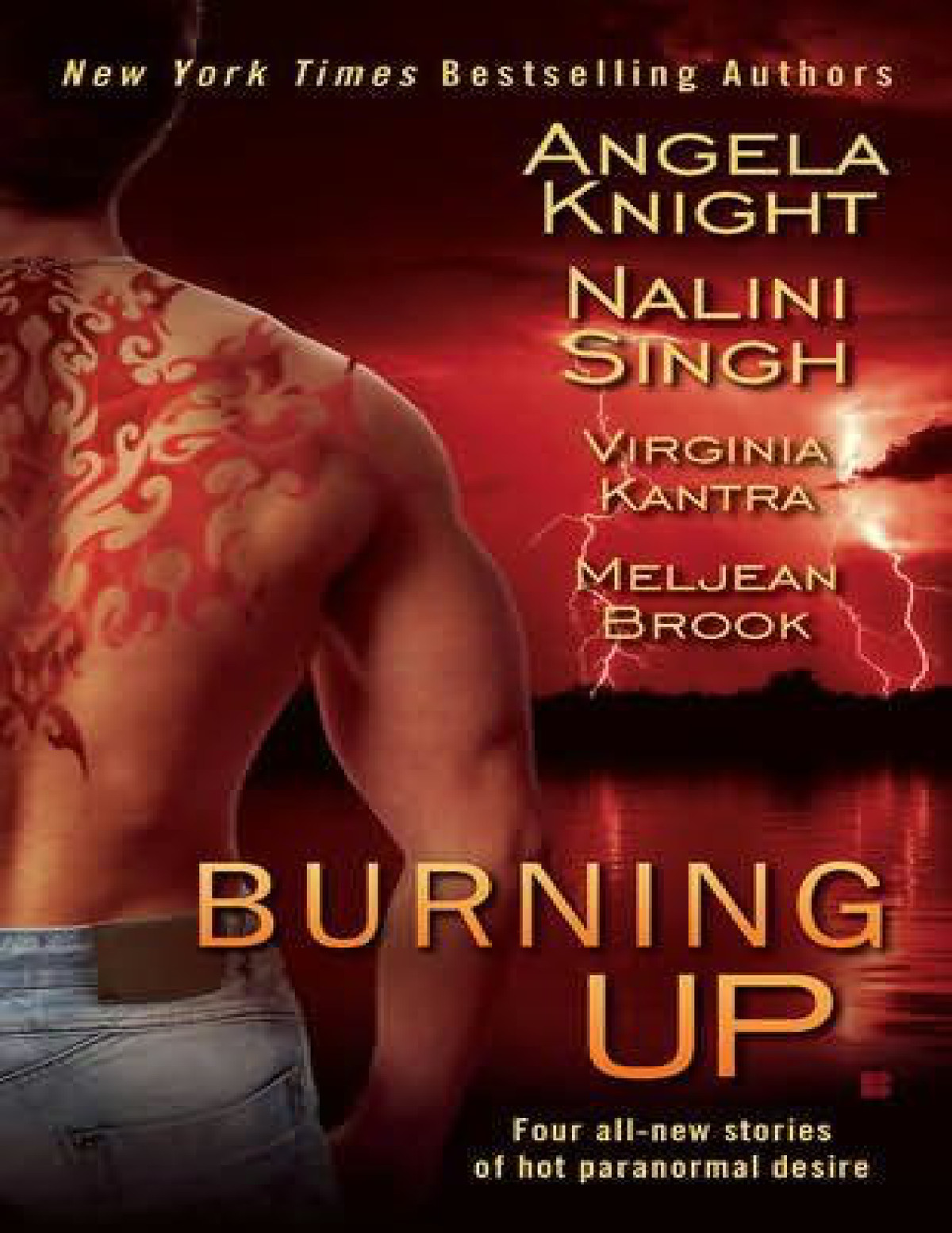 Burning Up Brook Meljean Knight Angela Singh Nalini Kantra Virginia