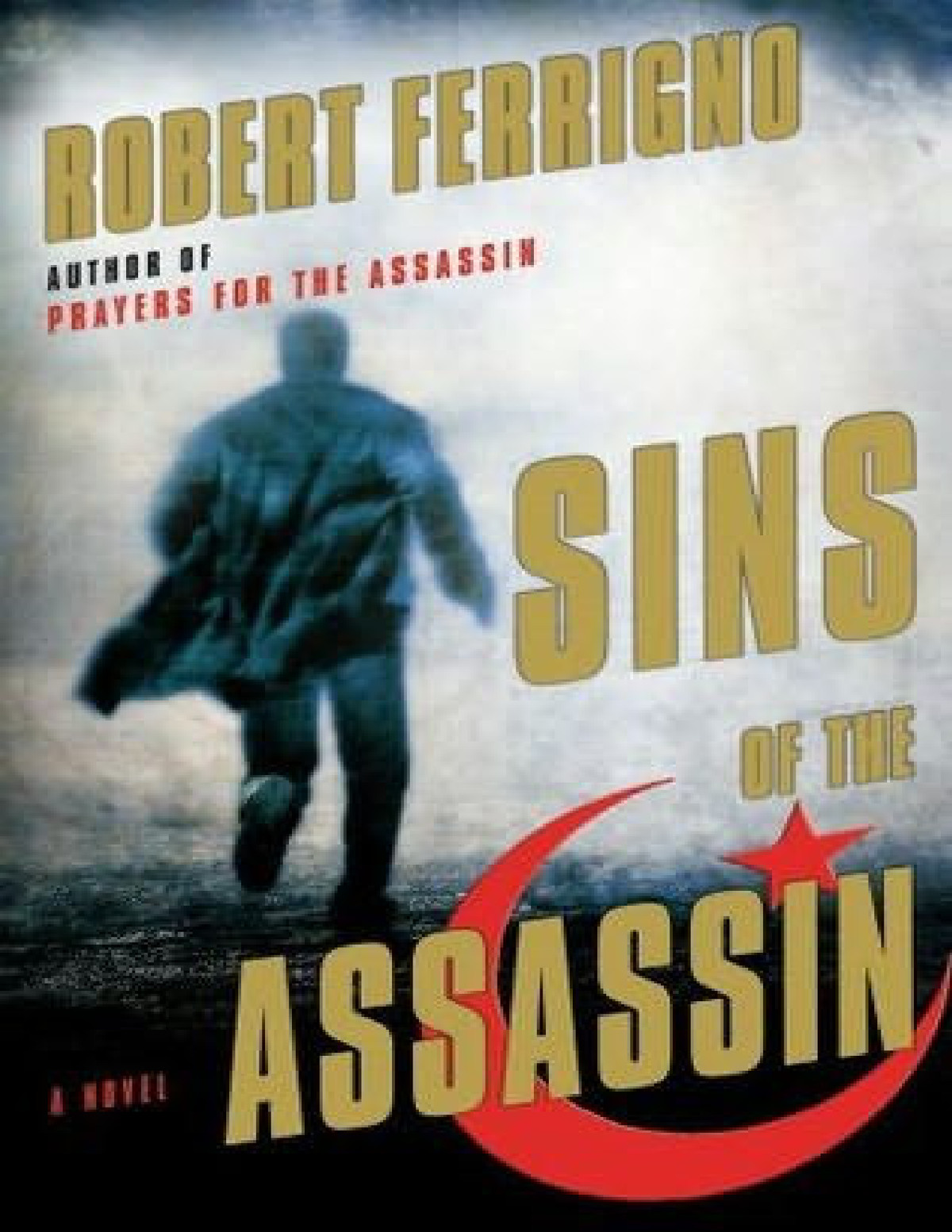 Sins Of The Assassin Ferrigno Robert