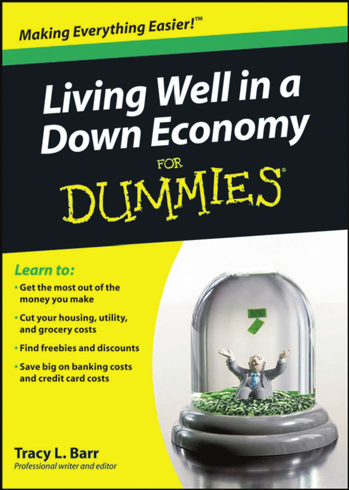 Living Well In A Down Economy For Dummies Barr Tracy