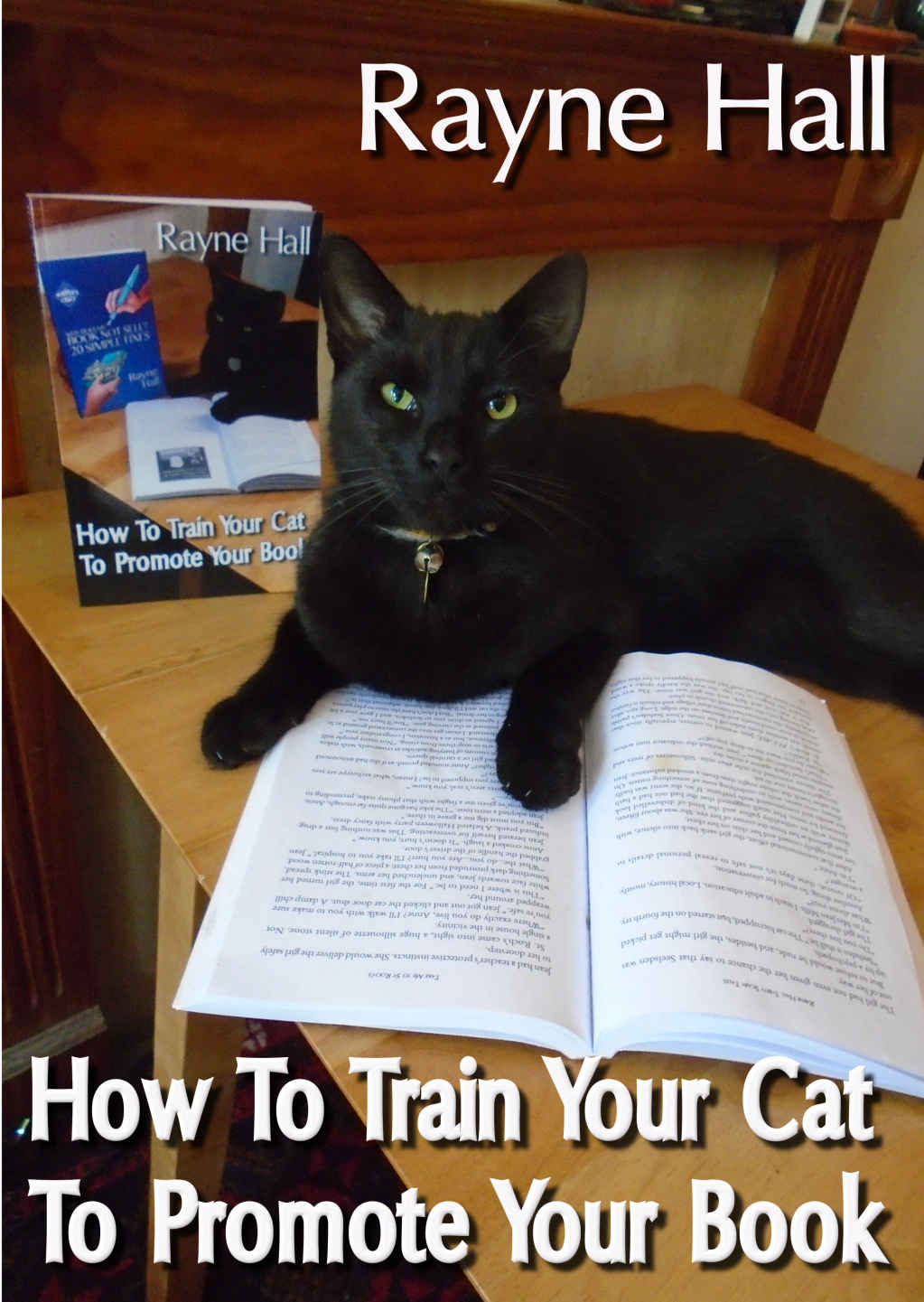 How To Train Your Cat To Promote Your Book Rayne Hall Hall Rayne