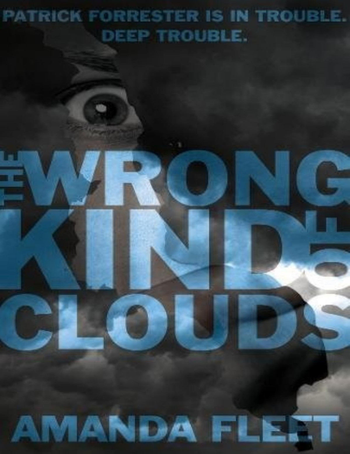 The Wrong Kind Of Clouds Amanda Fleet Fleet Amanda