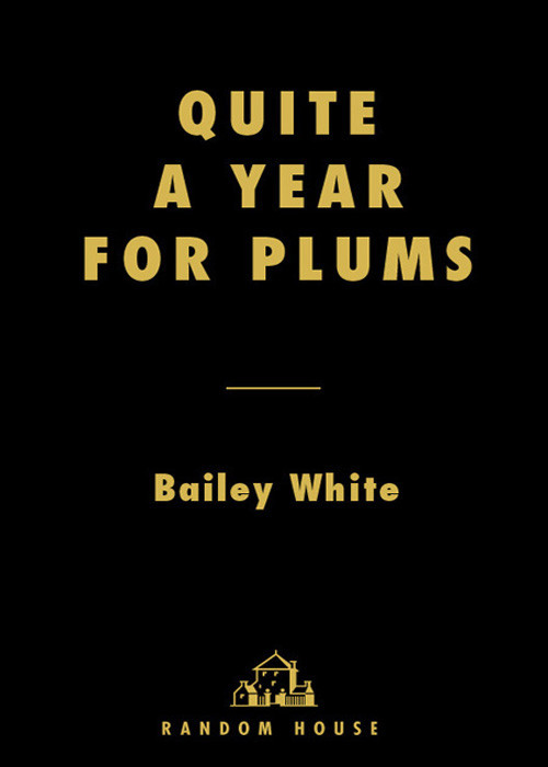 Quite A Year For Plums Bailey White