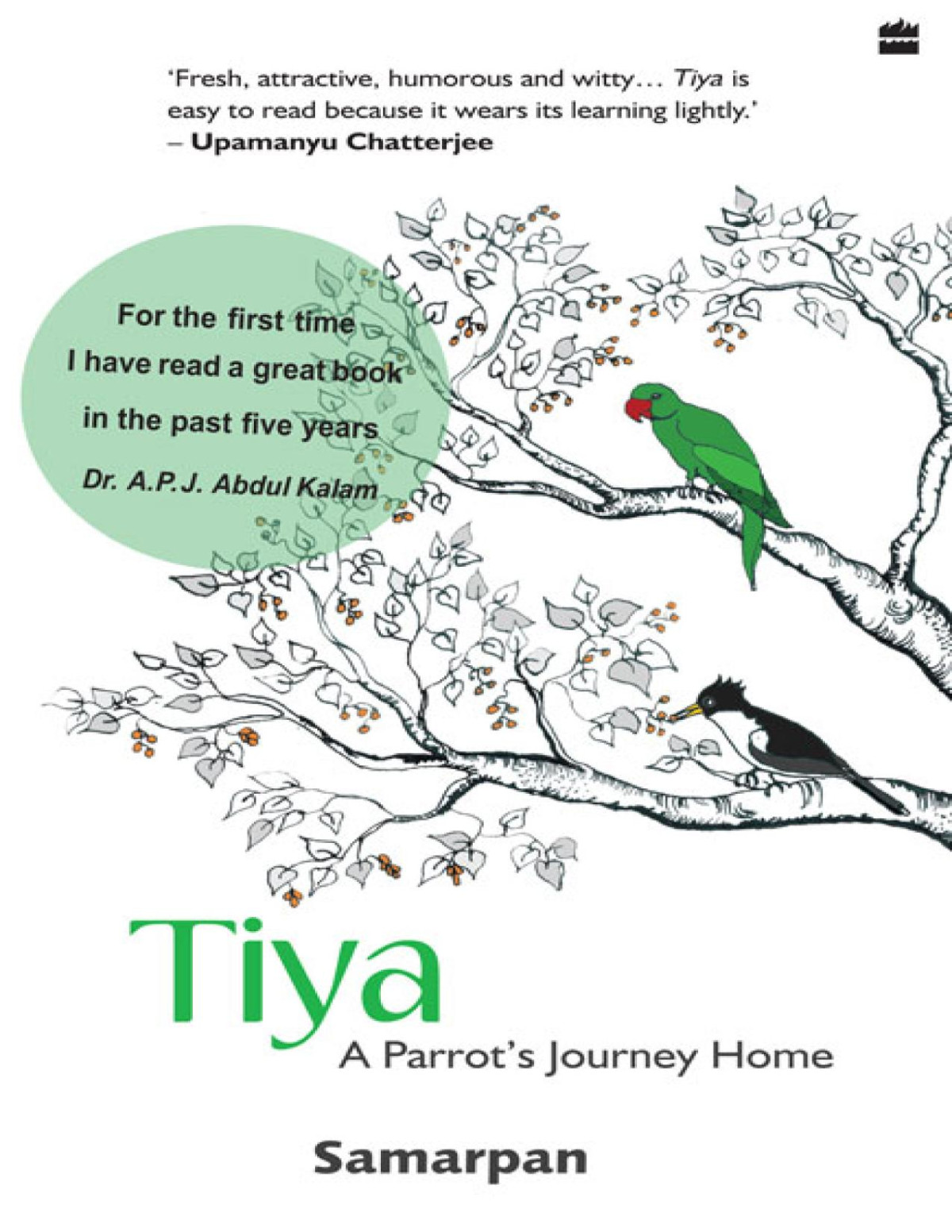 Tiya A Parrots Journey Home Samarpan