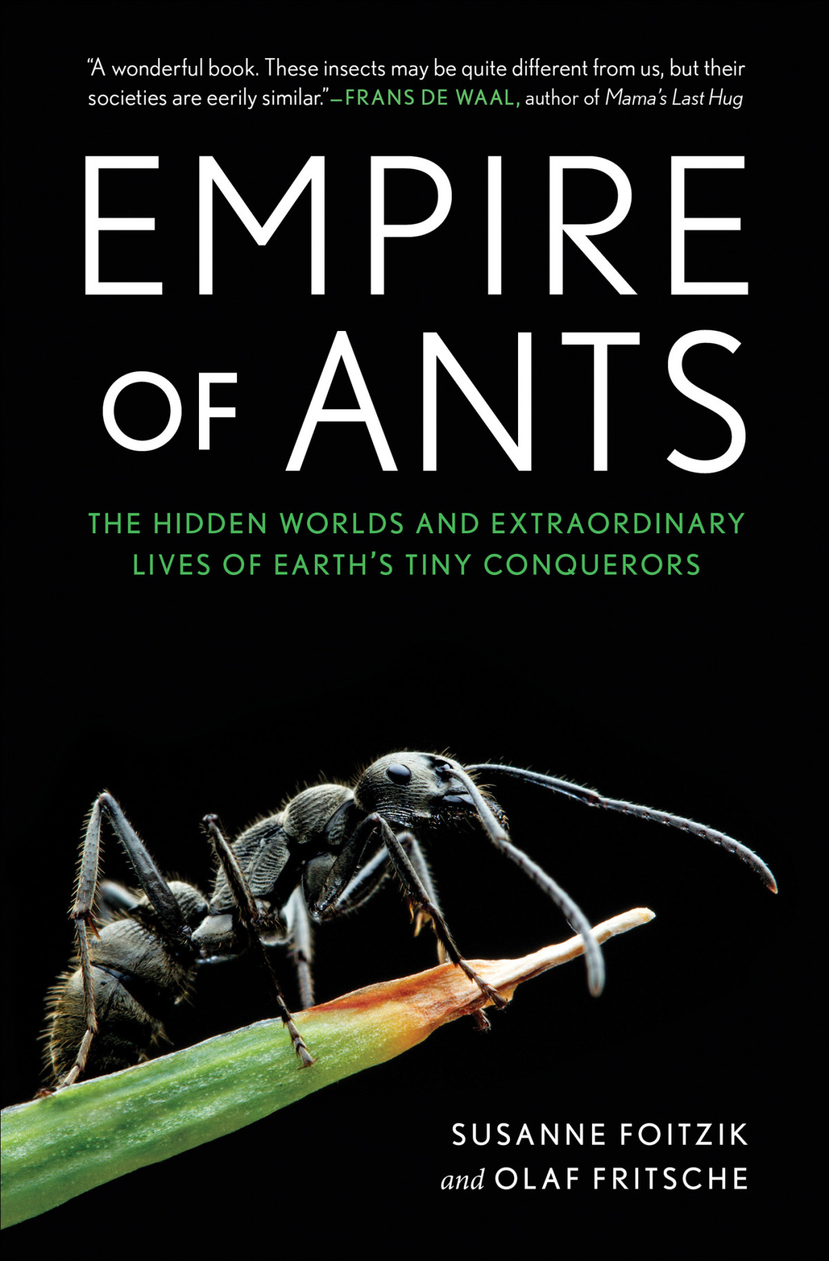 Empire Of Ants Susanne Foitzik