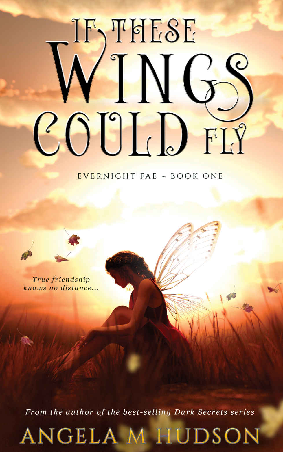 If These Wings Could Fly Angela M Hudson Hudson Angela M