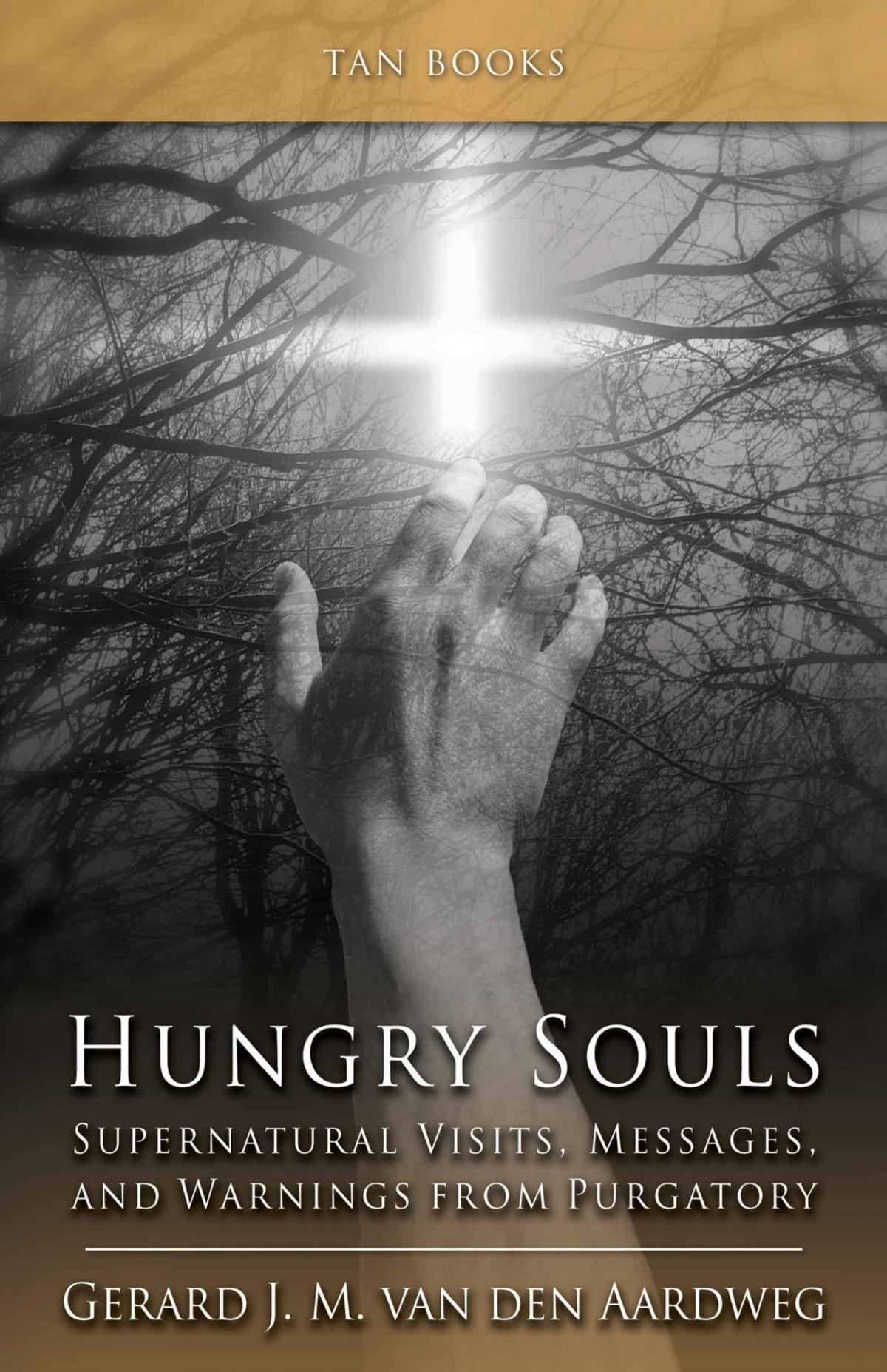 Hungry Souls Supernatural Visits Messages And Warnings From Purgatory Gerard J M Van Der Aardweg