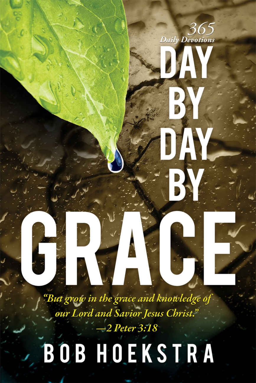 Day By Day By Grace 365 Daily Devotions Bob Hoekstra Hoekstra