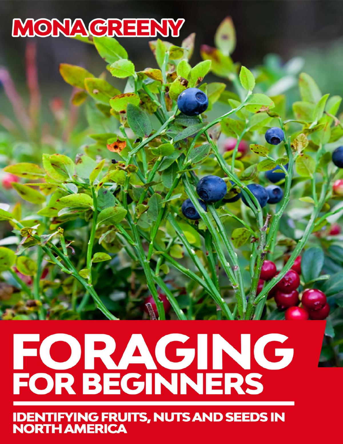Foraging For Beginners Identifying Fruits Nuts And Seeds In North America Vickie Shufer