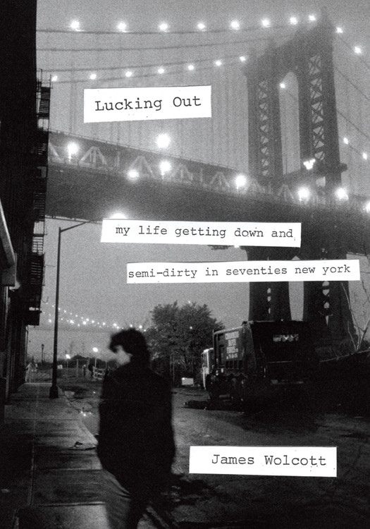 Lucking Out My Life Getting Down And Semidirty In The Seventies James Wolcott