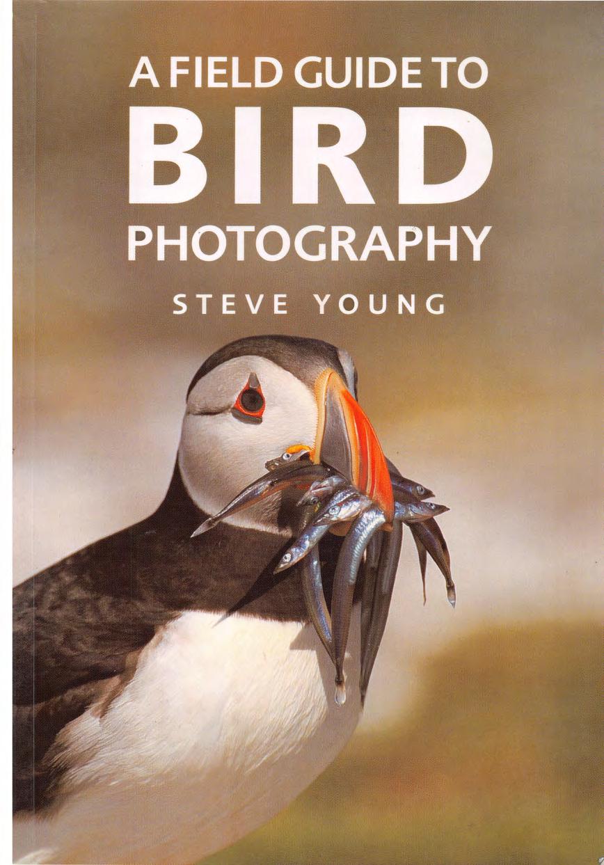 A Field Guide To Bird Photography Steve Young