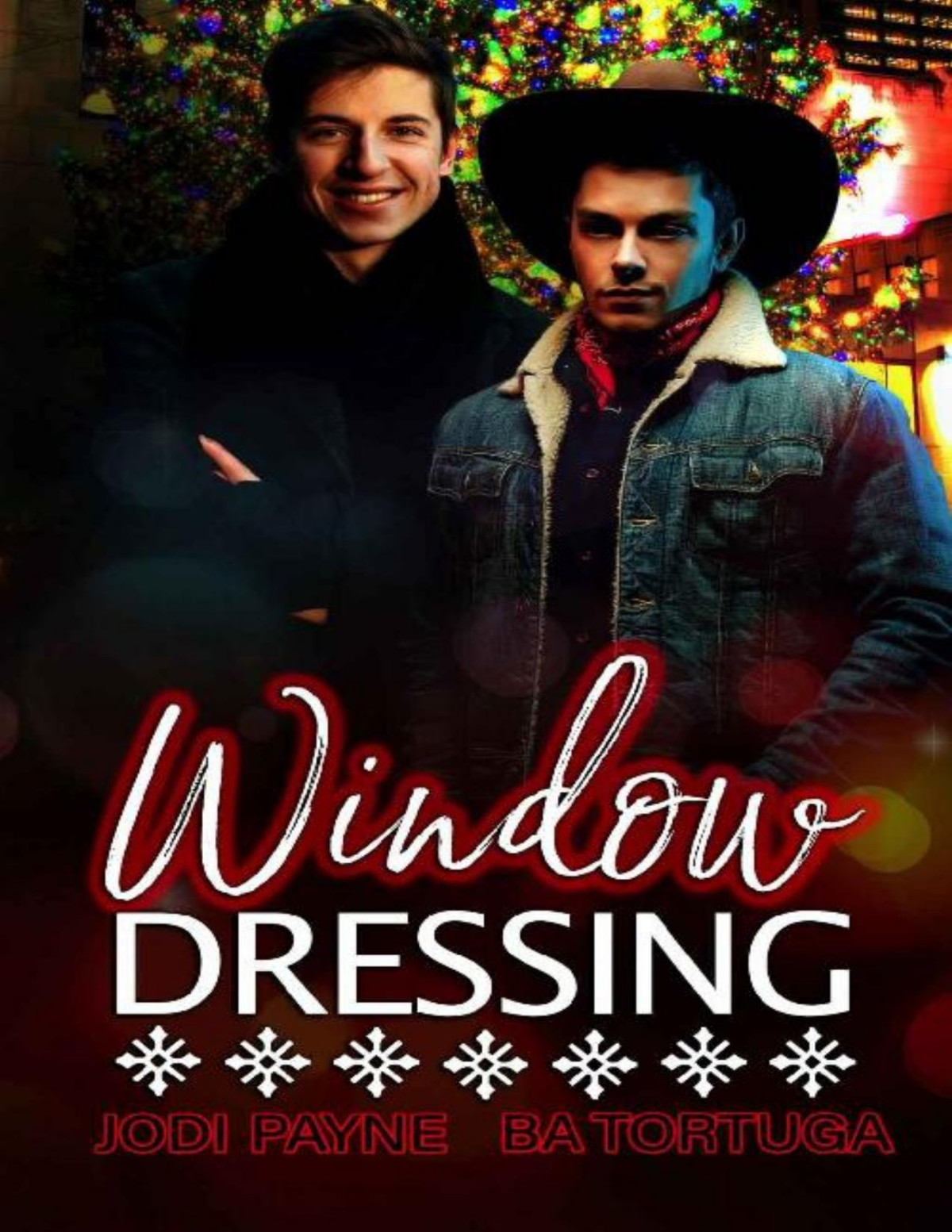 Window Dressing Jodi Payne Ba Tortuga Payne Jodi
