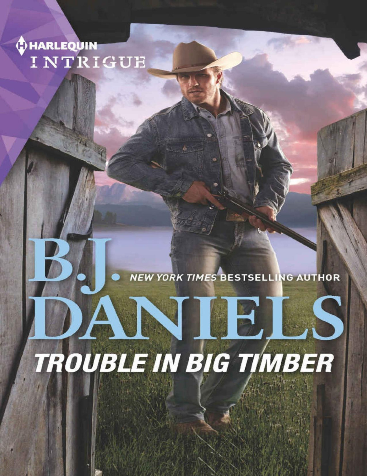 Trouble In Big Timber 5 Cardwell Ranch Montana Legacy Bj Daniels Daniels