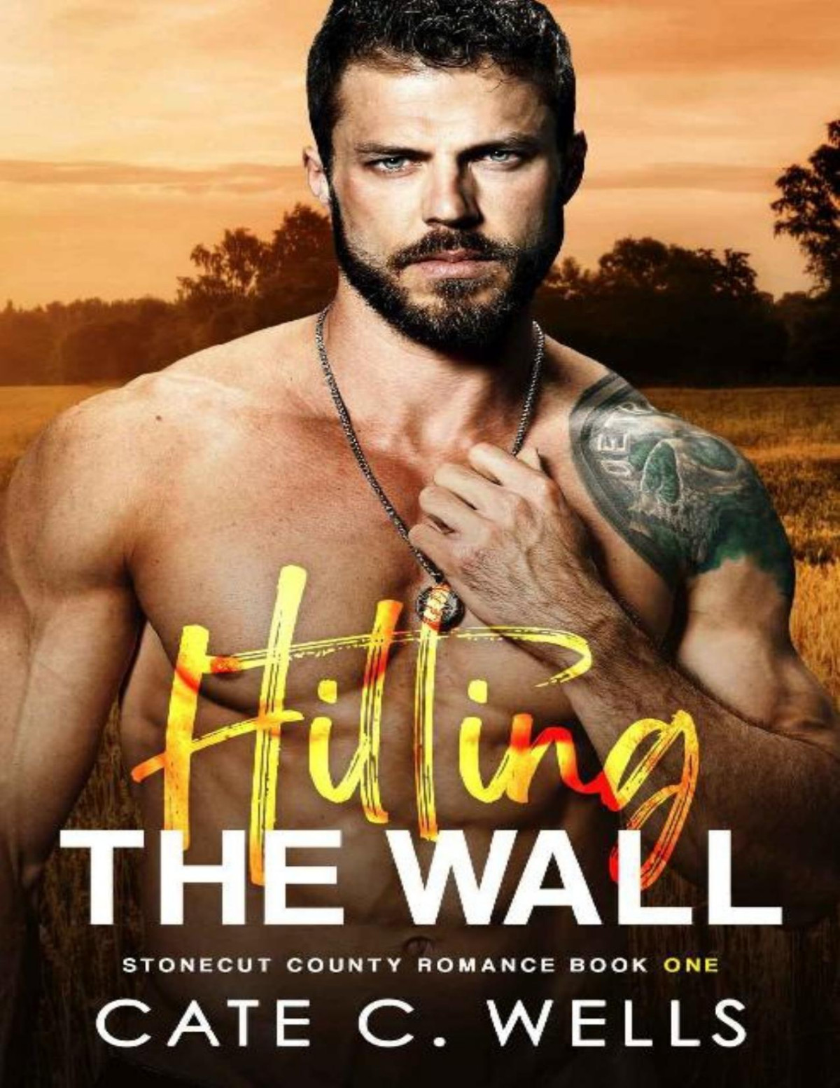Hitting The Wall 1st Edition Cate C Wells
